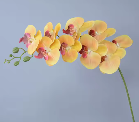 ORQUIDEAS ARTIFICIALES X6UNDS - OMC-743