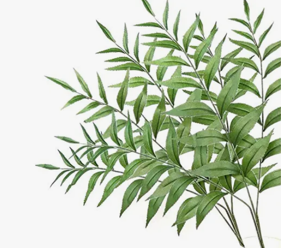 RAMAS ARTIFICIALES SIMULACION HOJAS DE SAUCE X6UNDS - OMC-739