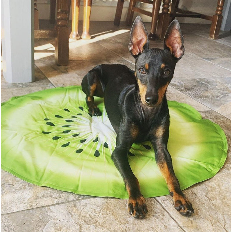 6 Colchonetas Refrescante Para Mascotas, Cama Fría Para Perros OMC-003