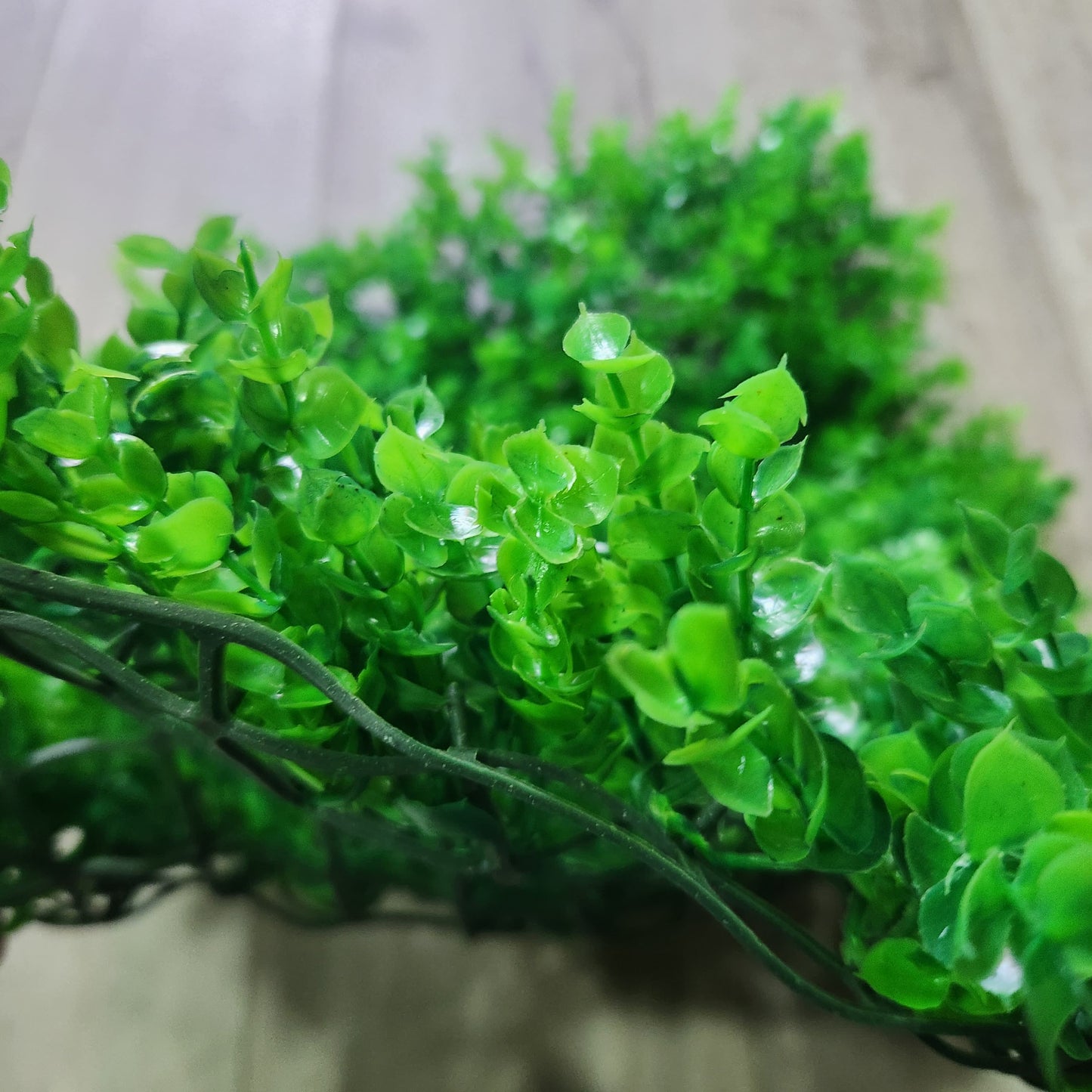 jardín Vertical Artificial decorativo para interior y exterior OMC -714 por 6 unidades