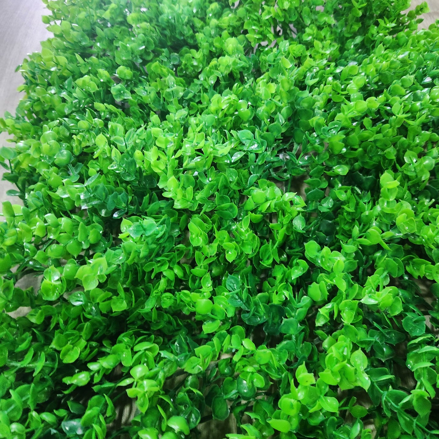 jardín Vertical Artificial decorativo para interior y exterior OMC -714 por 6 unidades