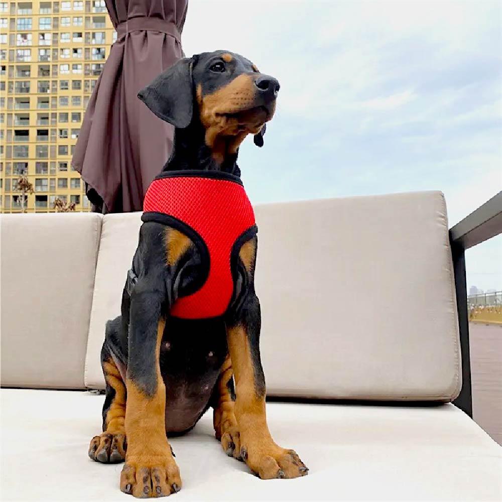 PECHERA PARA PERRO X6UNDS - POC-907