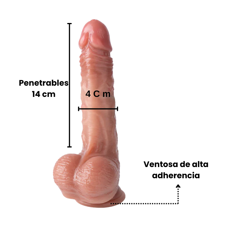 Arnés Ajustable, Incluye Dildo Realista, Flexible Con ventosa X6 Unds OMC-438