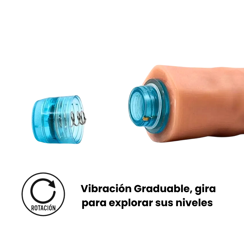 Dildo Vibrador Realista Pene 16 Cm, Multivelocidad  X6 Unds  OMC-437