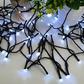 LUZ SOLAR NAVIDEÑA 10 M -100 BOMBILLOS X 6 UNDS - OMC-075