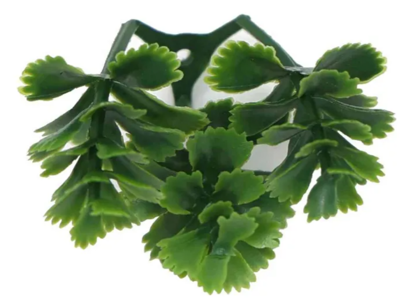 JARDIN VERTICAL PARA INTERIORES Y EXTERIORES  X6UNDS OMC -715