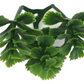 JARDIN VERTICAL PARA INTERIORES Y EXTERIORES  X6UNDS -OMC -714