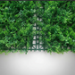 JARDIN VERTICAL PARA INTERIORES Y EXTERIORES  X6UNDS -OMC -714