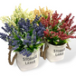 ARREGLO DE FLORES CON MATERA  X6UNDS -OMC-748