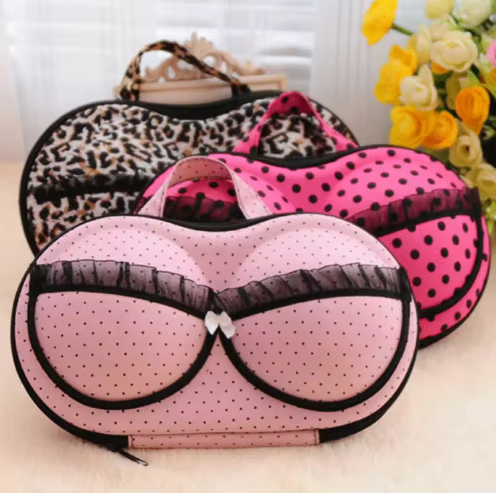 ESTUCHE AHORRA ESPACIO PARA BRASIER Y ROPA INTERIOR X6UNDS