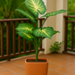 HOJAS ARTIFICIALES DECORATIVAS X6UNDS -  OMC-753
