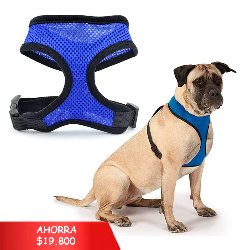 PECHERA PARA PERRO X 6 Unidades