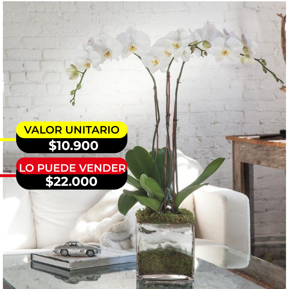ORQUIDEAS ARTIFICIALES X6UNDS - OMC-743