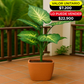 HOJAS ARTIFICIALES DECORATIVAS X6UNDS -  OMC-753