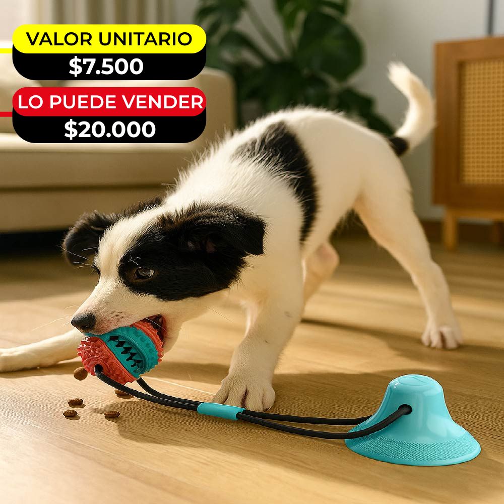 PELOTA CON VENTOSA PARA PERROS X6UNDS - OMC-316