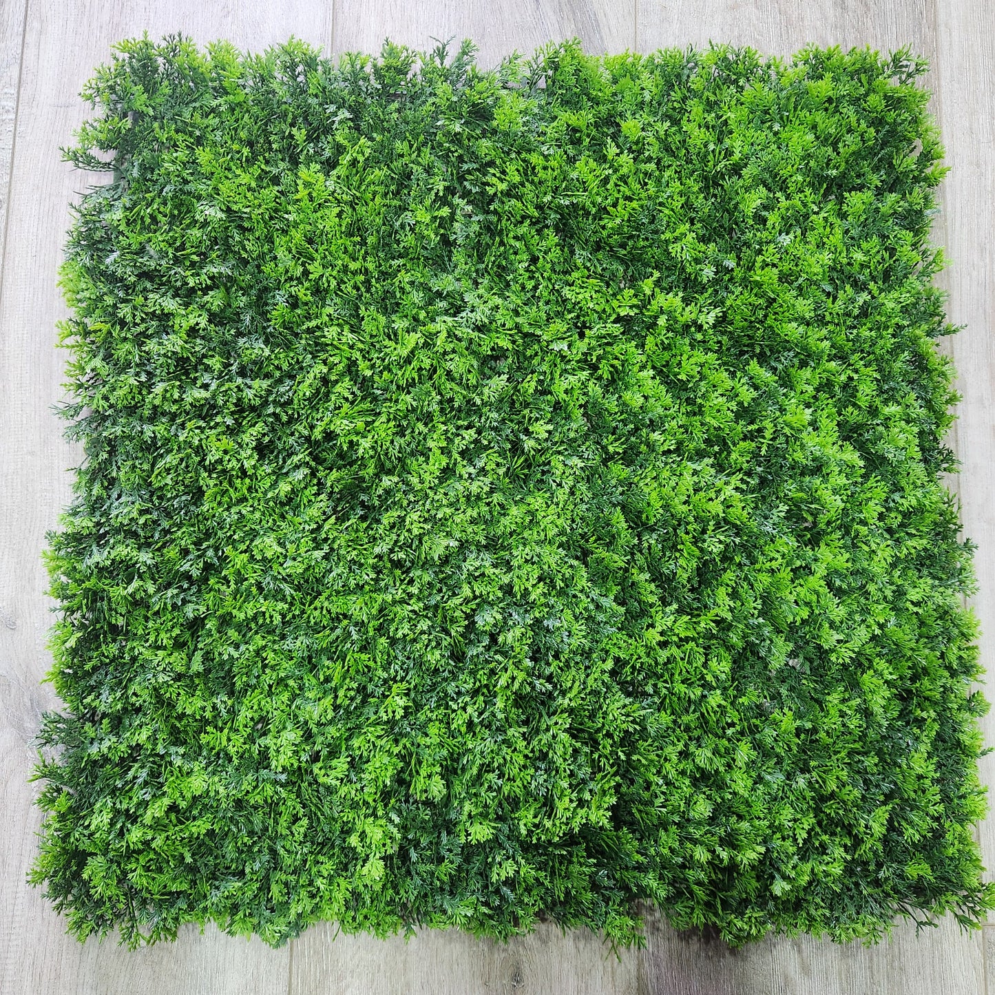 JARDIN VERTICAL PARA INTERIORES Y EXTERIORES  X6UNDS OMC -715