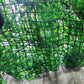 jardín Vertical Artificial decorativo para interior y exterior OMC -714 por 6 unidades
