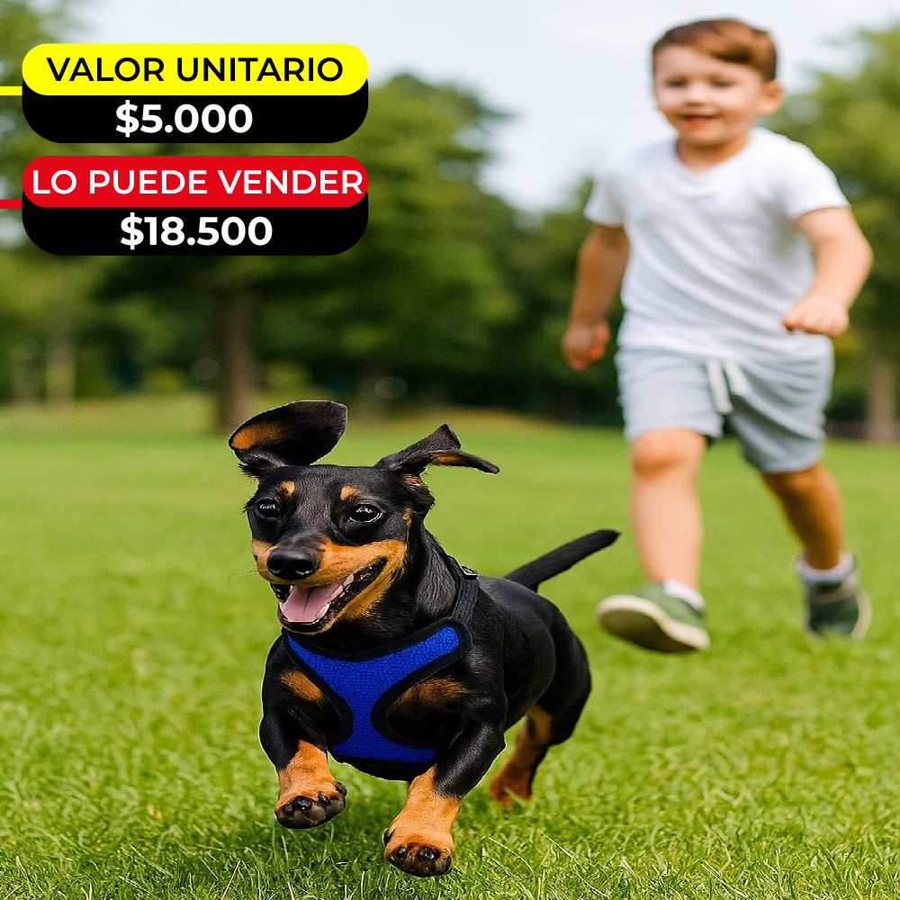PECHERA PARA PERRO X6UNDS - POC-907