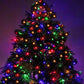 Luces navideñas x 6 unds - 2022-1-1